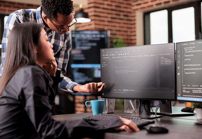 Software-Development img